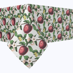 Apples in Branches Squares
