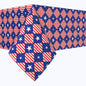 Blue Diamonds in Red Stripes Squares