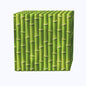 Green Bamboo Sticks Napkins
