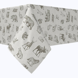 Hand Drawn Wild Animals Cotton Rectangles